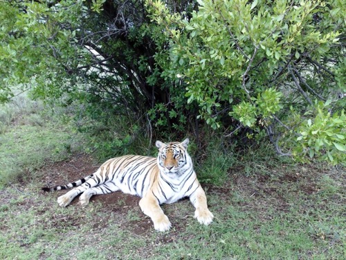Tiger Canyon — zdjęcie 4 z 13